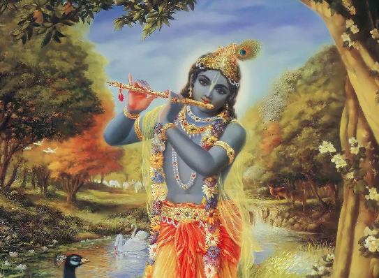 Krishna Ji