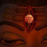 Rudraksha