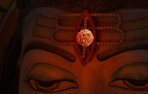 Rudraksha