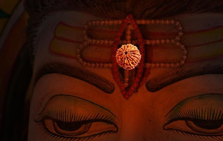 Rudraksha