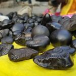 शालिग्राम