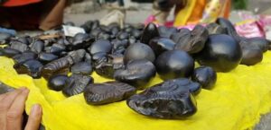 शालिग्राम
