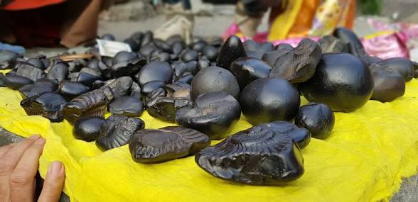 शालिग्राम